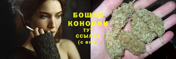 mdpv Каменка