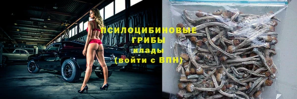 скорость Каменногорск