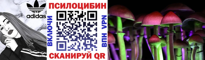 Купить закладки  Полевской  Псилоцибиновые грибы Psilocybe 